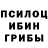 Псилоцибиновые грибы мухоморы ABDI ToLeGeN