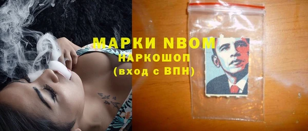 сатива Алзамай