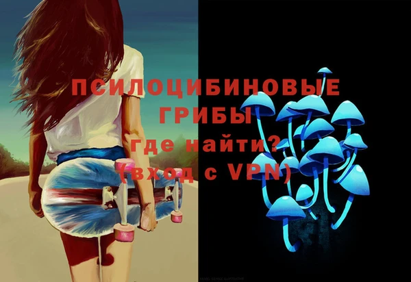 сатива Алзамай