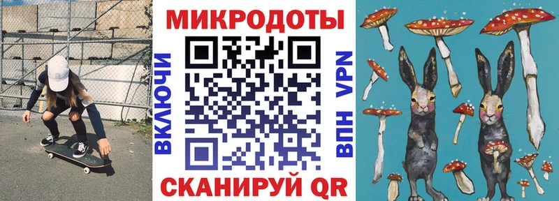 Галлюциногенные грибы Psilocybine cubensis Комсомольск